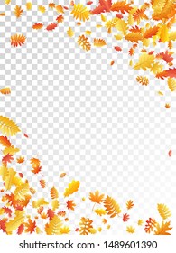 Oak, maple, wild ash rowan leaves vector, autumn foliage on transparent background. Red gold yellow sorbus dry autumn leaves. Floral tree foliage fall season specific background pattern.