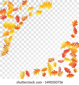 Oak, maple, wild ash rowan leaves vector, autumn foliage on transparent background. Red orange gold rowan and oak autumn leaves. Cool tree foliage november seasonal background pattern.