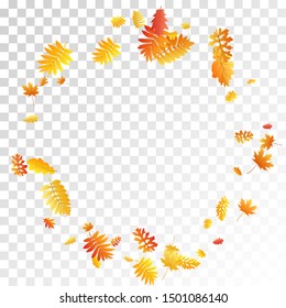 Oak, maple, wild ash rowan leaves vector, autumn foliage on transparent background. Red gold yellow sorbus dry autumn leaves. Chic tree foliage november seasonal background pattern.