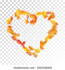 Oak, maple, wild ash rowan leaves vector, autumn foliage on transparent background. Red orange gold rowan and oak autumn leaves. Detailed tree foliage vector november seasonal background.
