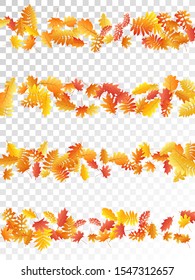 Oak, maple, wild ash rowan leaves vector, autumn foliage on transparent background. Red orange yellow rowan and oak autumn leaves. Biological tree foliage september background graphics.