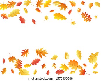 Oak, maple, wild ash rowan leaves vector, autumn foliage on white background. Red orange yellow sorb dry autumn leaves. Vivid tree foliage vector fall season specific background.