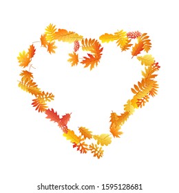 Oak, maple, wild ash rowan leaves vector, autumn foliage on white background. Red orange gold rowan and oak autumn leaves. Romantic tree foliage vector october season specific background.