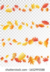 Oak, maple, wild ash rowan leaves vector, autumn foliage on transparent background. Red gold yellow ash and oak autumn leaves. Cool tree foliage fall seasonal background pattern.