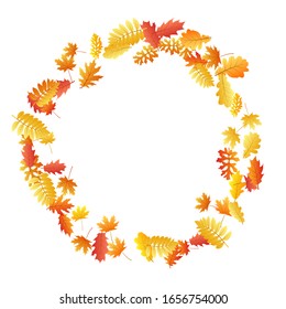 Oak, maple, wild ash rowan leaves vector, autumn foliage on white background. Red gold yellow rowan dry autumn leaves. Garden tree foliage vector november season specific background.