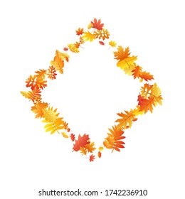Roble, arce, rowan de ceniza salvaje vector, follaje otoñal sobre fondo blanco. Hojas de otoño secas de roble amarillo dorado rojo. Vector de follaje de árbol frío, fondo estacional de noviembre.