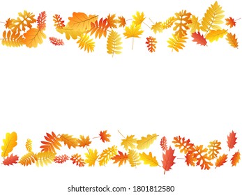 Oak, maple, wild ash rowan leaves vector, autumn foliage on white background. Red orange yellow oak dry autumn leaves. Elegant tree foliage vector november seasonal background.