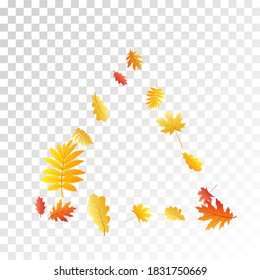Oak, maple, wild ash rowan leaves vector, autumn foliage on transparent background. Red orange gold rowan dry autumn leaves. Falling tree foliage vector fall season specific background.
