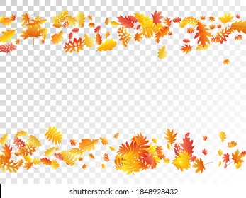 Oak, maple, wild ash rowan leaves vector, autumn foliage on transparent background. Red orange yellow ash and oak autumn leaves. Nostalgic tree foliage fall season specific background pattern.