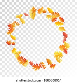 Oak, maple, wild ash rowan leaves vector, autumn foliage on transparent background. Red orange gold sorb dry autumn leaves. Fantastic tree foliage november seasonal background.