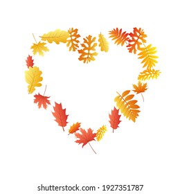 Roble, arce, rowan de ceniza salvaje vector, follaje otoñal sobre fondo blanco. Hojas de otoño secas de rowan dorado rojo anaranjado. Vector de follaje de árbol detallado de fondo estacional de noviembre.