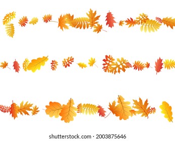 Roble, arce, rowan de ceniza salvaje vector, follaje otoñal sobre fondo blanco. Sorbo rojo amarillo dorado hojas secas de otoño. Paisaje de árboles chic en octubre de temporada.
