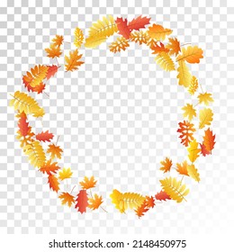 Oak, maple, wild ash rowan leaves vector, autumn foliage on transparent background. Red gold yellow wild ash dry autumn leaves. Garden tree foliage fall season specific background graphics.