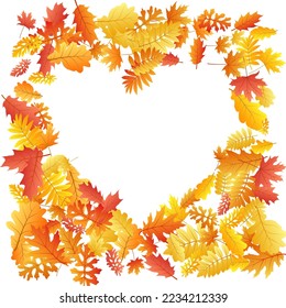Oak, maple, wild ash rowan leaves vector, autumn foliage on white background. Red gold yellow sorb dry autumn leaves. Natural tree foliage vector september season specific background.