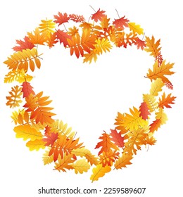 Eiche, Ahorn, wilde Aschenbrauenblätter, Vektorgrafik, Herbstblätter auf weißem Hintergrund. Roter orangefarbener Goldrowan trockene Herbstblätter. Abstraktes Baumblätterblatt November saisonale Hintergrundmuster.