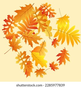 Oak, maple, wild ash rowan leaves vector, autumn foliage on white background. Red gold yellow sorb dry autumn leaves. Nostalgic tree foliage fall season specific background graphics.