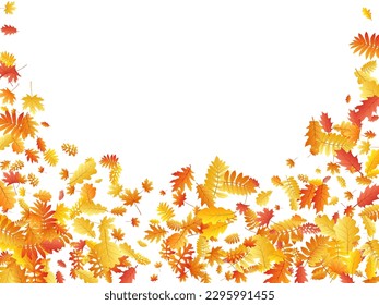 Roble, arce, rowan de ceniza salvaje vector, follaje otoñal sobre fondo blanco. Hojas de otoño secas de rowan amarillo dorado rojo. Antecedentes específicos de la temporada de vectores de follaje de árbol chic.