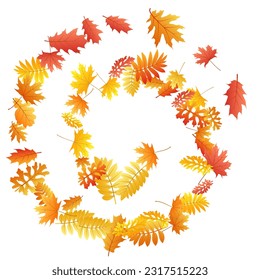 Eiche, Ahorn, wilde Aschenbrauenblätter, Vektorgrafik, Herbstblätter auf weißem Hintergrund. Rote orangefarbene Goldasche und Herbstblätter aus Eiche. Realistische Hintergrundgrafiken zum Laubblättern im September.