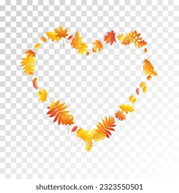 Eiche, Ahorn, wilde Aschenbrauenblätter, Vektorgrafik, Herbstblätter auf transparentem Hintergrund. Roter orangefarbener Rotbraun und Herbstblätter aus Eiche. Detaillierte Baumfolien-Muster im November saisonalen Hintergrund.