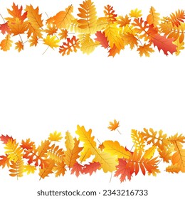 Roble, arce, rowan de ceniza salvaje vector, follaje otoñal sobre fondo blanco. Cenizas salvajes de color naranja rojo secas hojas de otoño. Florencia de los árboles en caída de fondo de temporada en octubre.