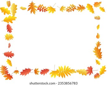Oak, maple, wild ash rowan leaves vector, autumn foliage on white background. Red orange yellow ash and oak autumn leaves. Closeup tree foliage fall seasonal background pattern.