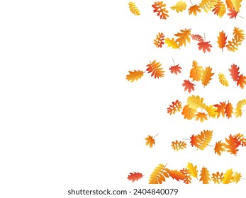Roble, arce, rowan de ceniza salvaje vector, follaje otoñal sobre fondo blanco. Hojas de otoño secas de rowan dorado rojo anaranjado. El follaje nostálgico de los árboles cae en el patrón de fondo estacional.