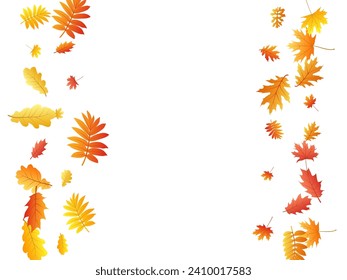 Oak, maple, wild ash rowan leaves vector, autumn foliage on white background. Red orange gold rowan and oak autumn leaves. Cool tree foliage vector october season specific background.