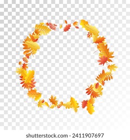 Oak, maple, wild ash rowan leaves vector, autumn foliage on transparent background. Red orange gold sorb dry autumn leaves. Rich tree foliage vector fall season specific background.