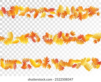 Oak, maple, wild ash rowan leaves vector, autumn foliage on transparent background. Red gold yellow oak dry autumn leaves. Rich tree foliage november season specific background.