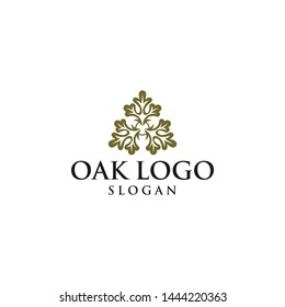 oak modern vector grapich logo design download