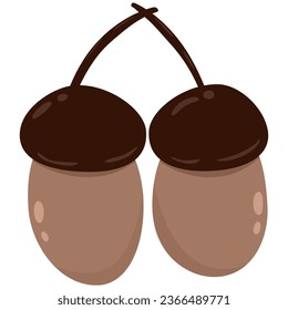oak nut autumn fruit, acorn vector illustration, simple flat design isolated on white background 