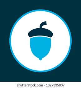 Oak nut icon colored symbol. Premium quality isolated acorn element in trendy style.