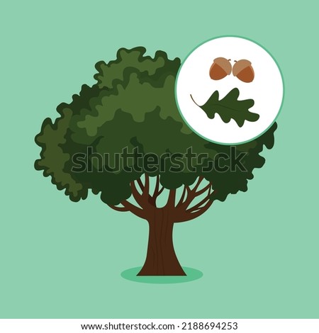 oak on a green background