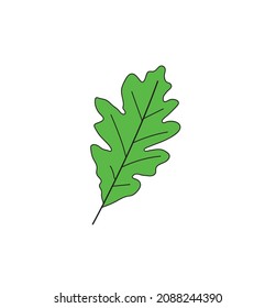 Oak Plant Leaf Vector File Stock Vector (Royalty Free) 2088244390 ...