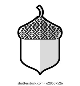 oak seed isolated icon