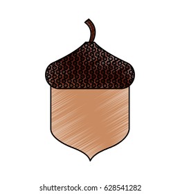 oak seed isolated icon
