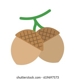 Oak Seeds