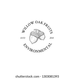 oak seeds logo design