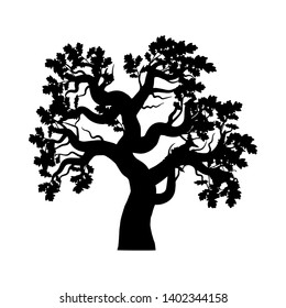 oak silhouette isolated on a white background. Vector illustration.