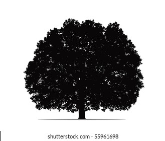 oak silhouette vector