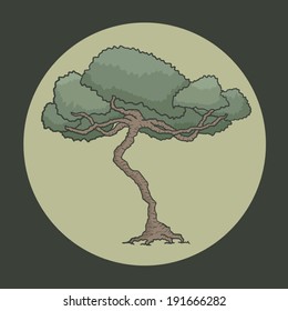 Oak symbol
