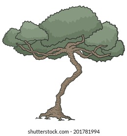 Oak tree