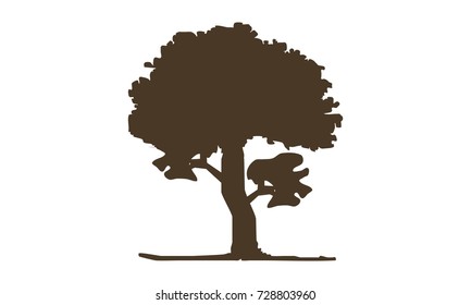 Oak Tree