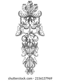 Oak tree with acorns with Engraving style, vector Illustration