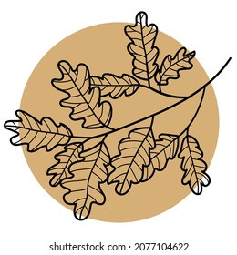 Oak tree branch line art vector illustration. Minimal hand drawn black contour sketch of oak-tree branch with oak leaves. Elegant botany plant drawing doodle element vector illustration.