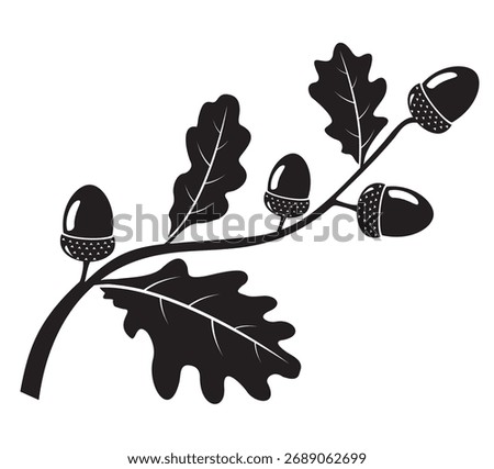 Oak tree branch silhouette with acorns and foliage. Cartoon vector graphics isolated on white background. 
