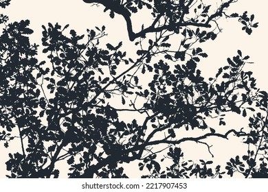 Oak tree and branches silhouette. detailed vector illustration