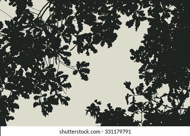 oak tree and branches silhouette. detailed vector illustration