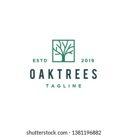 oak tree concept logo design