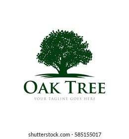 oak tree concept logo icon vector template